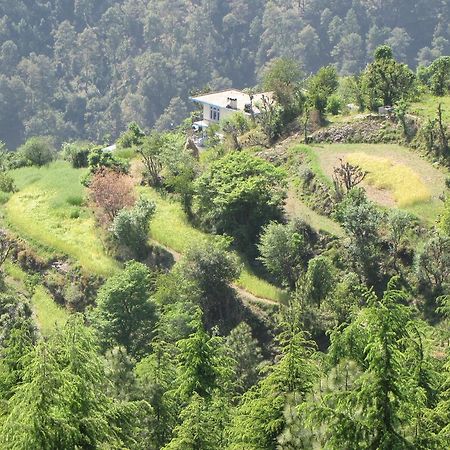 Shimla Nature Ville Exterior foto