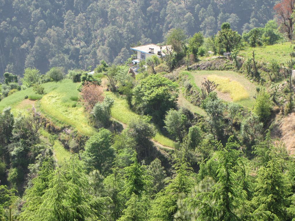Shimla Nature Ville Exterior foto